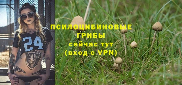 соль ск Аркадак