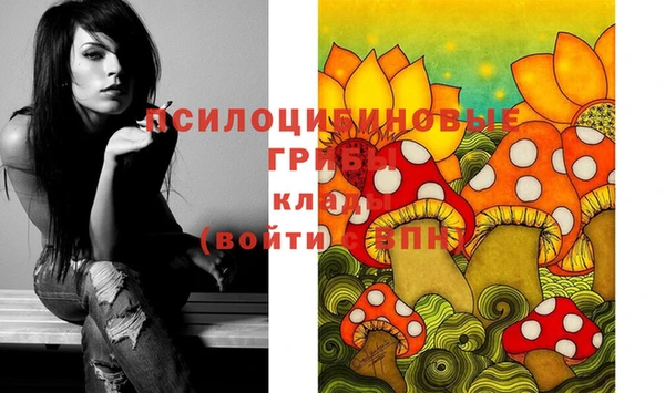 PSILOCYBIN Арсеньев