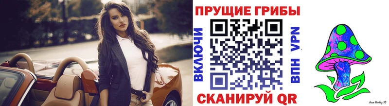 Псилоцибиновые грибы мицелий  где можно купить   ОМГ ОМГ ONION  Кореновск 